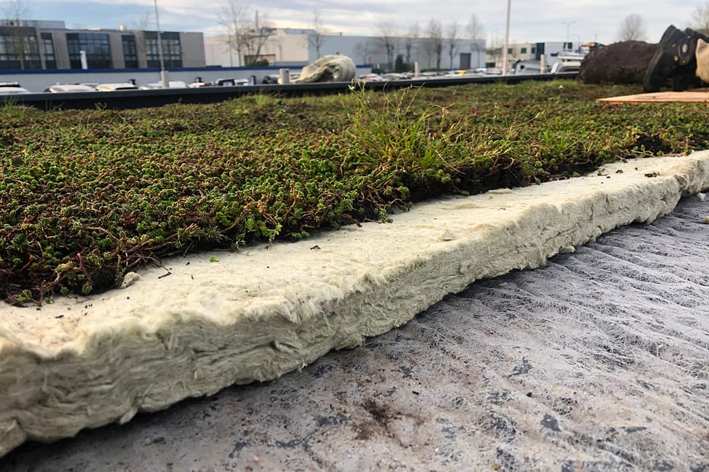 Groendak in Almere